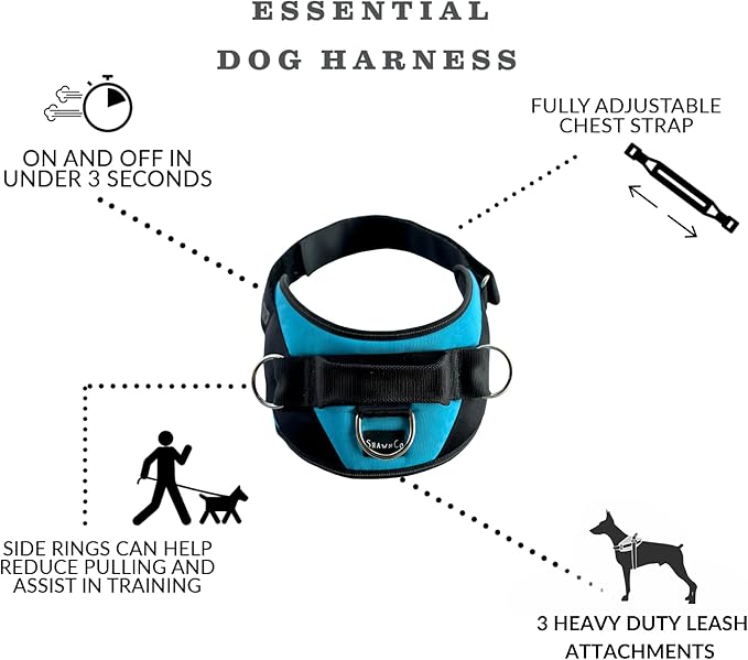 ShawnCo Essential Dog Harness, No-Pull Pet Vest with 3 Leash Clips, No Choke, Reflective, Adjustable and Padded, for Easy Walking and Training for Small, Medium and Large Dogs (Seafoam, XL)