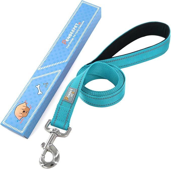 Dog Leash 6 FT Padded Handle Nylon Reflective Dogs Leashes for Large Dogs Sky Blue