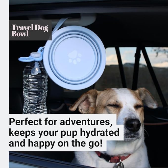 3-in-1 Travel Dog Bowl Set – 30 OZ Stainless Steel + 20 OZ Collapsible Water Bowl Lid | BPA-Free, Anti-Slip, Portable Dog Bowl w/Handle/Water Bottle Holder with Carabiner | Blue Bowls