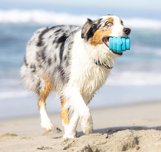 PROJECT HIVE ·PET COMPANY· - Soothing Vanilla Scented - Hive Chew Toy for Large Dogs - Dog Chew Toy for Large Breeds - Floats in Water - Durable and Tough - Made in The USA
