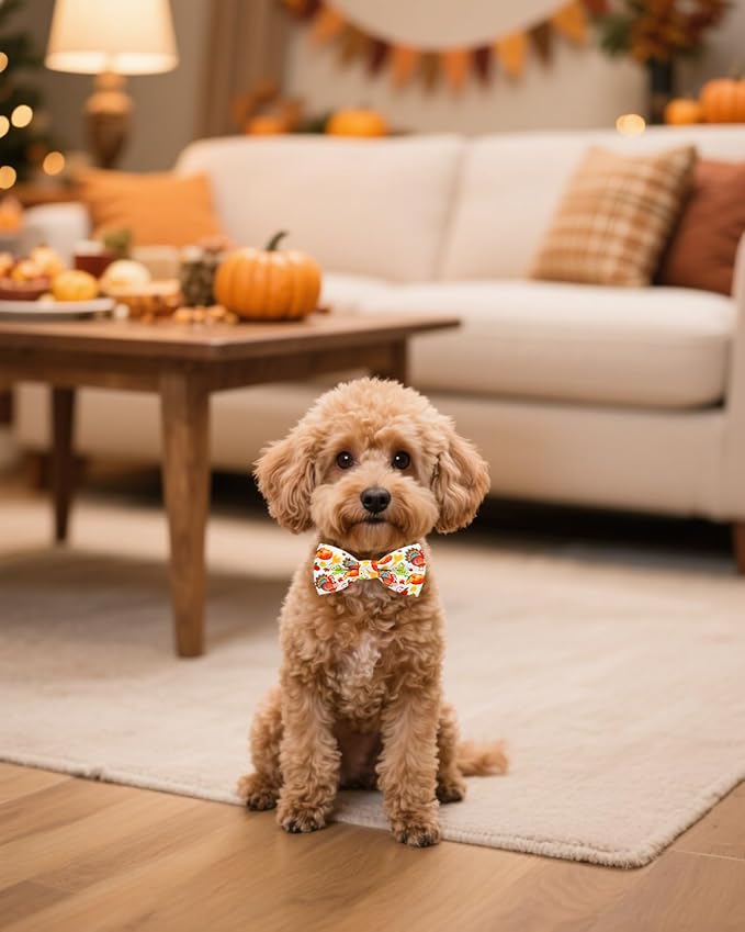 PET SHOW 10 Pack Thanksgiving Small Dog Bow Ties Sliding Collar Attachments Puppy Cats Pumpkin Turkey Patterns Bowties for Medium Dogs Fall Bowknots Party Holiday Pet Grooming Accessories(Small)