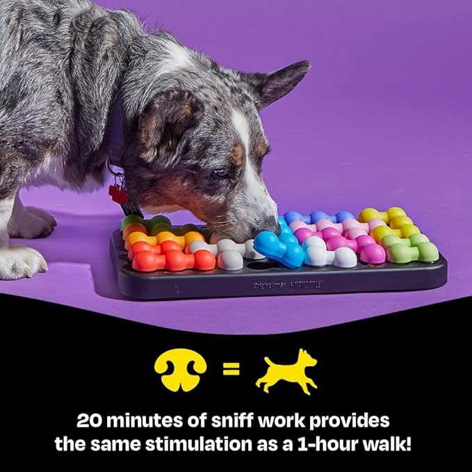 Dog Puzzle Treat Toy — Large, 14 Hidden Compartments, Mental Enrichment Game