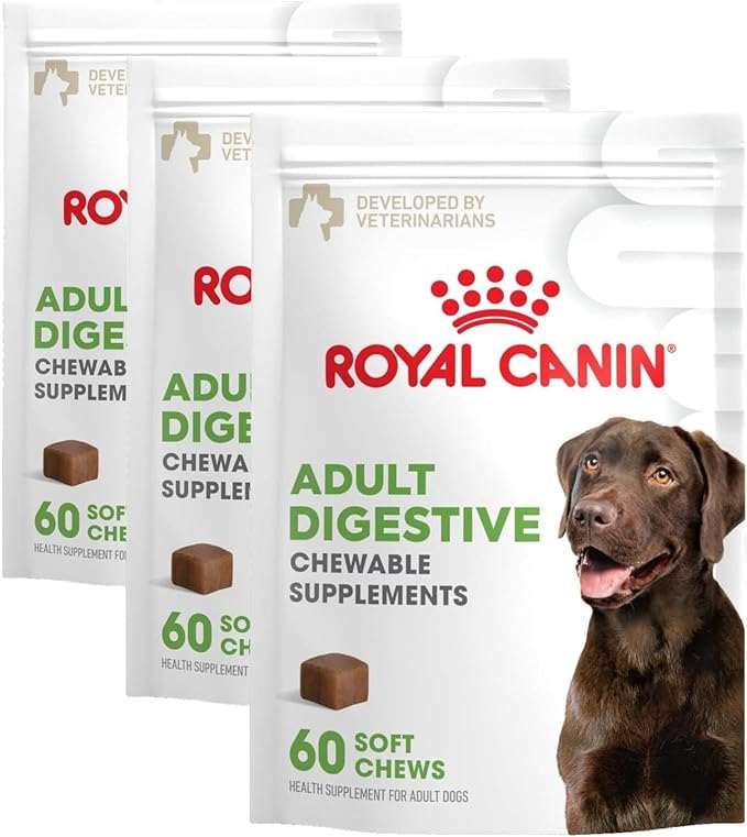 Royal Canin Digestive Dog Supplement Soft Chews for Adult Dogs, 60 Count (Pack of 3)