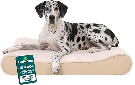 FurHaven Orthopedic Dog Bed for XX-Large Dogs, Luxe Lounger Contour Mattress with Medical-Grade Solid Orthopedic Foam for Joint Support, Removable Washable Cover - Jumbo Plus/XXL, Plush Suede, Cream