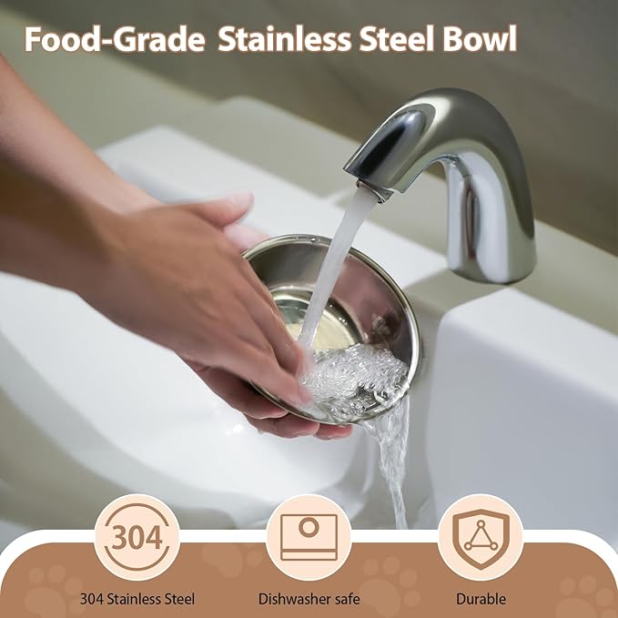Elevated Cat Bowls for Cats and Puppies, Whisker-Friendly 15° Tilted Raised Cat Food Bowl, Anti-Vomiting Design with 3 Stainless Steel Dishes