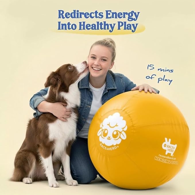 Race&Herd 25" Original XXL Herding Ball for Dogs - Herding Toys, Giant Dog Ball for Australian Shepherds, Border Collies - Durable Dog Outdoor Training Toy for Medium & Large Breeds (Yellow)