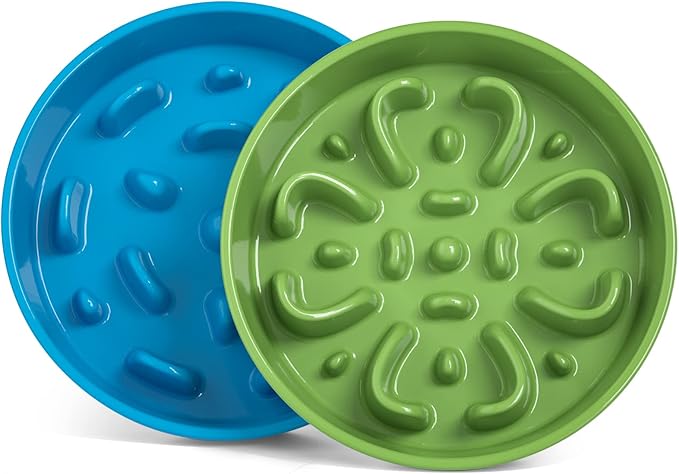 LE TAUCI Dog Slow Feeder Bowl,3 Cups Ceramic Maze Pattern for Large Breed,Bule and Green
