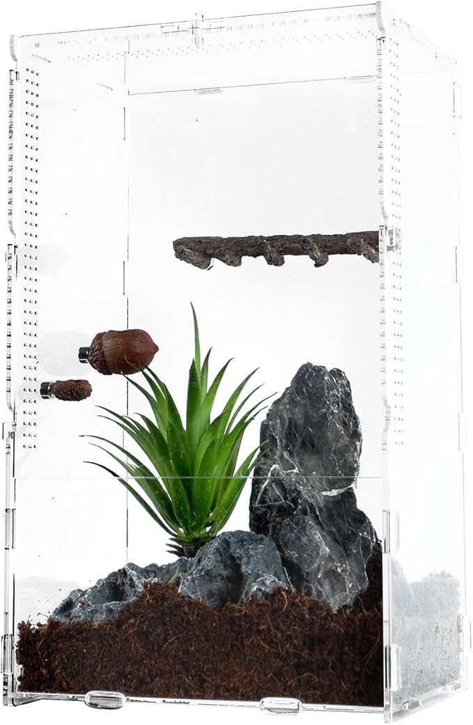 REPTI ZOO Jumping Spider Hideout and Feeding Dish, Nut Shaped Hide and Cave Sets for Spider Playing, Feeding and Climbing, Pet Spider Enclosure Accessories