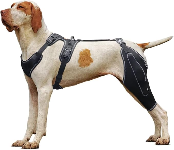 Dog Knee Brace for Torn ACL/CCL Hind Leg,Adjustable Support with Sufficient Wrapping and Support & Luxating Patella,Non-Slip Joint Brace,Pain Relief & Better Recovery-Left Leg/XL
