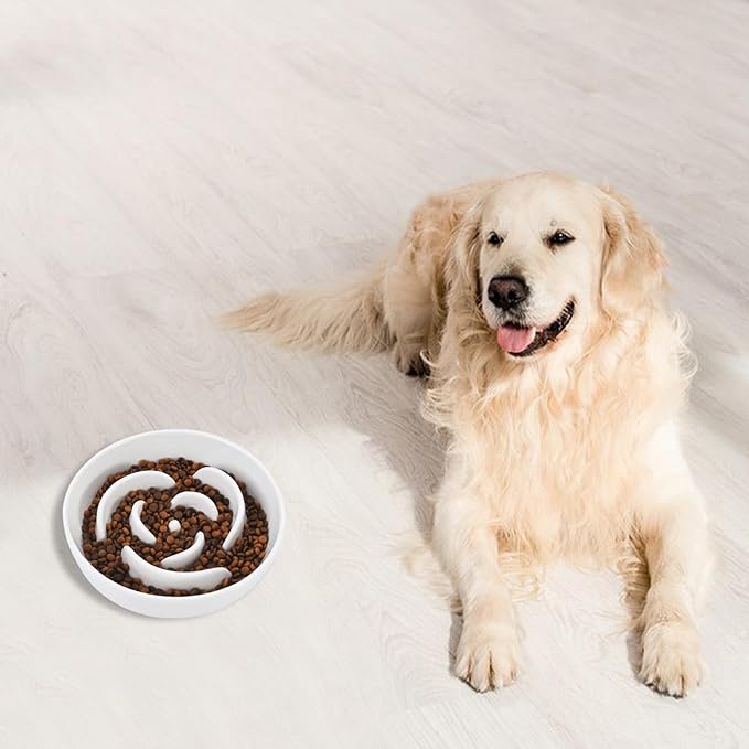 Slow Feeder Dog Bowls, 7.6inch Ceramic Dog Bowls, Fun Slow Eater Bowl for Small Medium Breed, Maze Puppy Slow Feeder for Fast Eaters to Control Eating, White