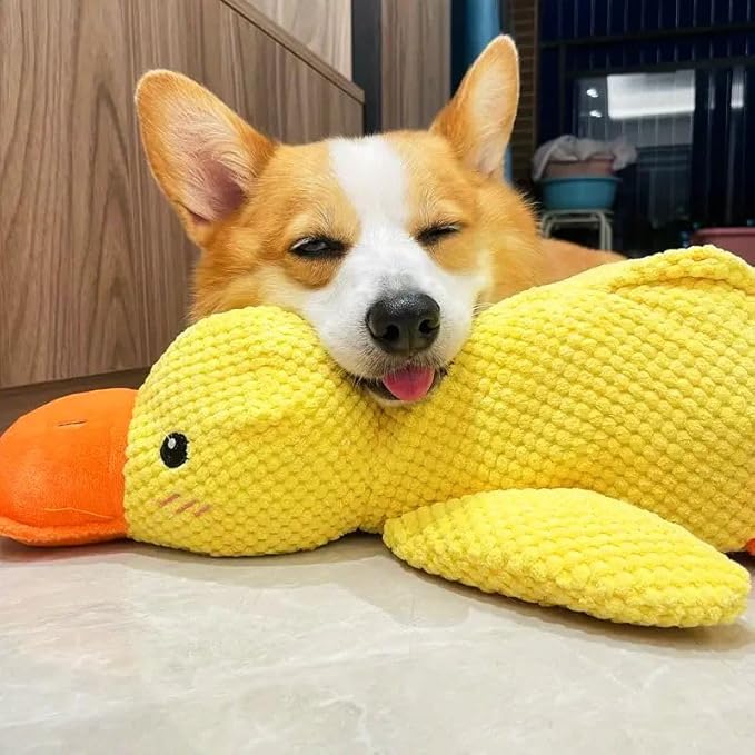 CalmDuck™ - Soothing Dog Toy - Lovehappypets (M)