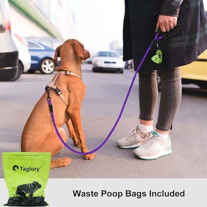 Taglory Rope Dog Leash 5 FT with Comfortable Padded Handle, Highly Reflective Threads Leash for Small Dogs, 3/8 inch, Purple