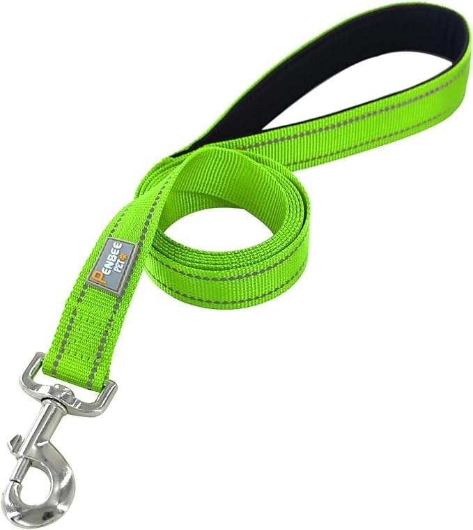 Dog Leash 6 FT Padded Handle Nylon Reflective Dogs Leashes for Medium Dogs Green