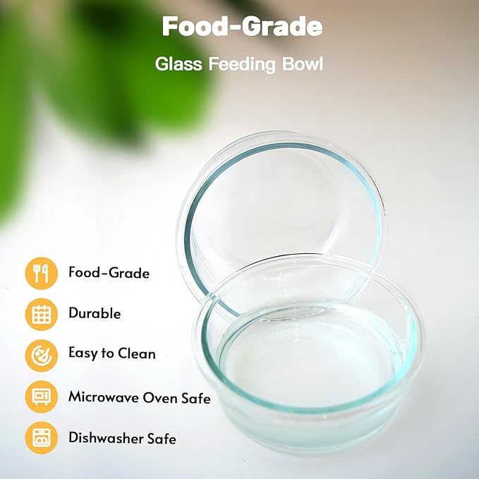 Elevated Cat Bowls, 15° Tilted Cat Food Bowl, Includes 3 Glass Bowls, Bamboo Board, and Metal Stand for Cats and Puppies
