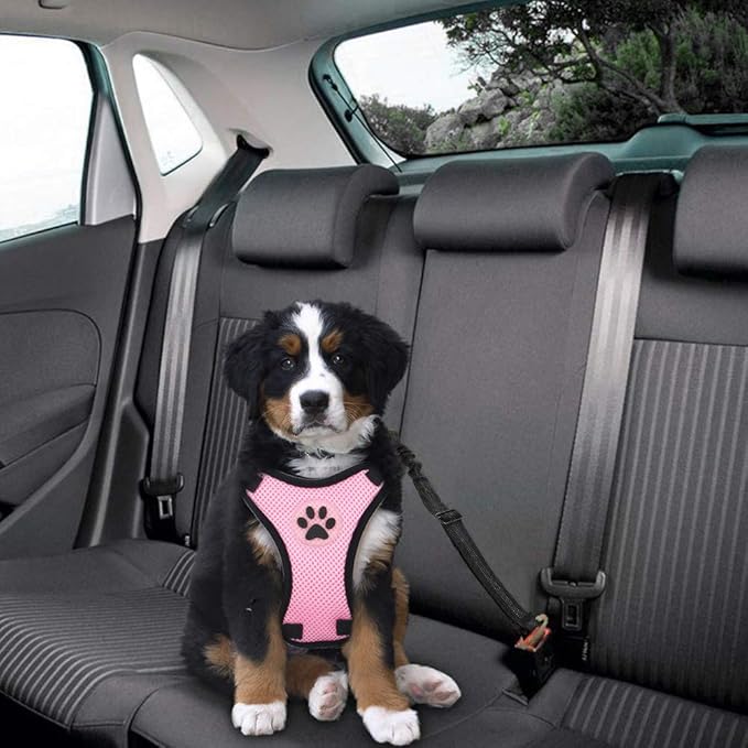 SlowTon Dog Seat Belt Harness for Car, Dog Car Harness Adjustable Mesh Breathable & Dog Seatbelt Safety Tether with Elastic Bungee for Small Medium Large Pets (Pink, Single Clip, XXS)