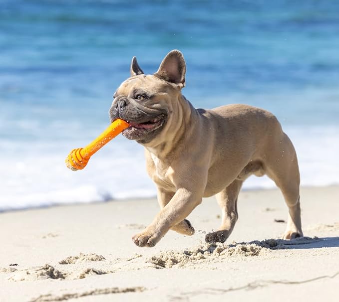 PROJECT HIVE ·PET COMPANY· - Sweet Mango Scented - Hive Dog Fetch Stick for Large Breeds - Dog Stick Toy - Floats in Water - Treat Dispenser Toy - Durable and Tough - Made in The USA