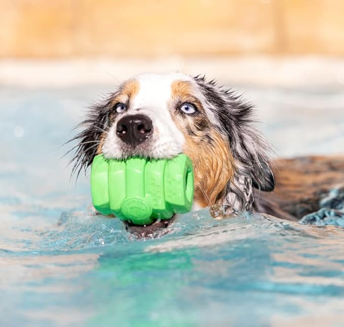 PROJECT HIVE ·PET COMPANY· - Tropical Coconut Scented - Hive Chew Toy for Large Dogs - Dog Chew Toy for Large Breeds - Floats in Water - Durable and Tough - Made in The USA