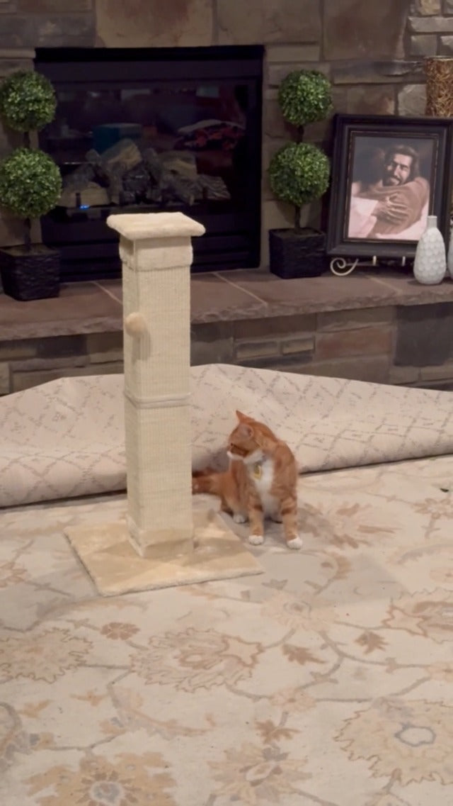 33-inch natural sisal cat scratching post for indoor cats - image 8