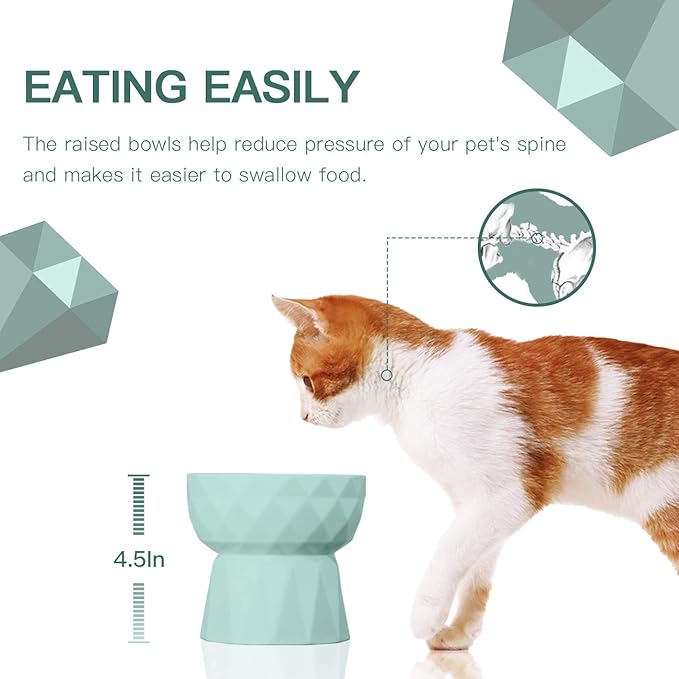 Frewinky Cat Bowls,Ceramic Cat Bowls Anti Vomiting,Raised Food and Water Bowl Set for Cats and Small Dogs,13.5 Oz,Green