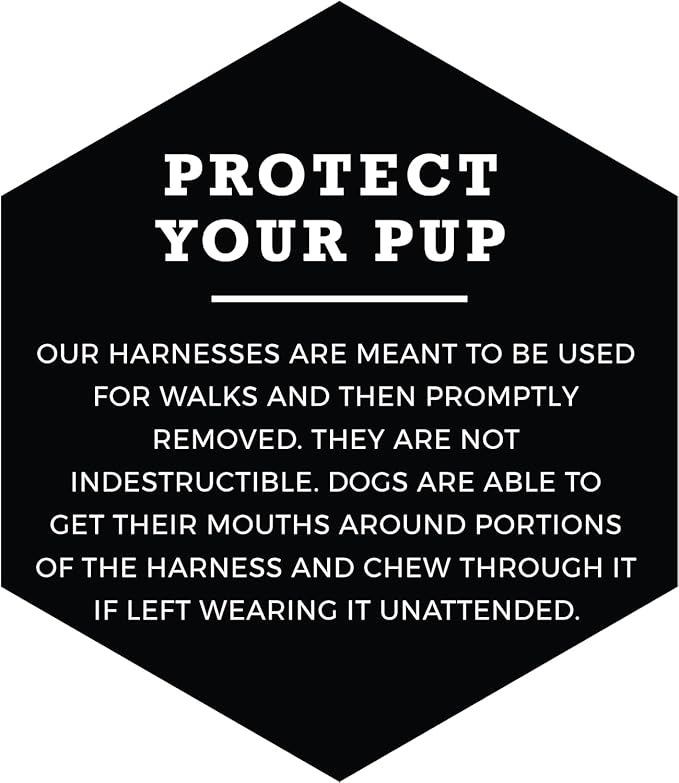 Wolfgang Heavy Duty Adjustable Dog Harness, Pull-Tested to Over 800 lbs for Walking & Training, DarkSkies Print, Extra Large
