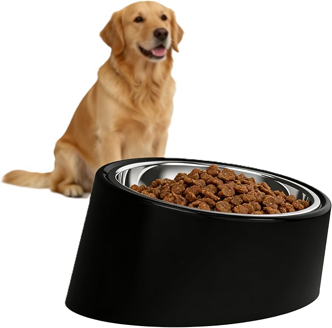 No-Spill Non-Skid for Large Breeds: 15° Tilted Feeder for with Cones or Long Ears - Detachable 2-in-1 Stainless Steel Elevated Dish, Easy Access, Black (Size L)