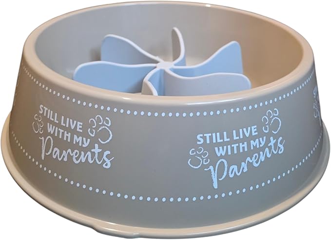 Slow Feeder Dog Bowl Set, Dog Feeding Bowl with Silicone Slow Feeder Insert, Helps Prevent Fast Eating and Improves Digestion (Nude)