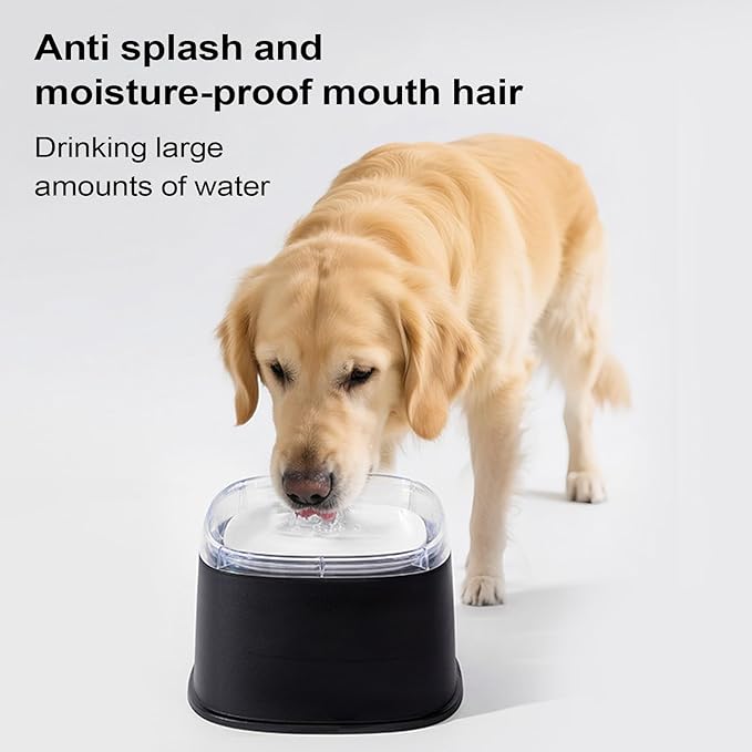 Spill Proof Dog Bowl, Slow Drinking Pet Dish, 2000ml Large Capacity Water Dispenser with Material, Puppy Kitten for Hydration Tool, Indoor Outdoor Accessory Stable Design, Travel Gear for Home Vehicle