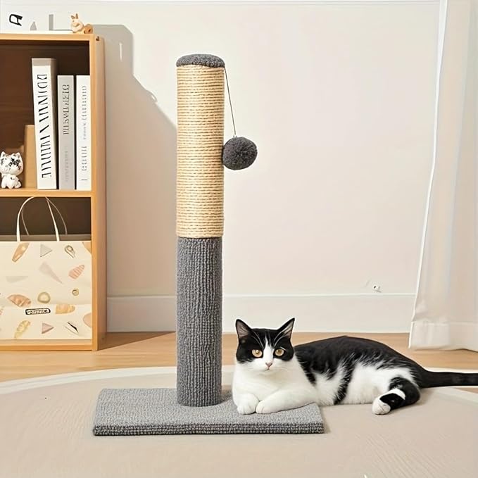 Cat Scratching Post-3