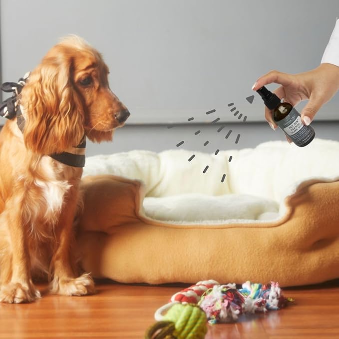 Pet Zen Pheromone Calming Spray for Dogs - Made in the USA - Alcohol-Free - for Carriers, Bedding, Travel & Vet Visits