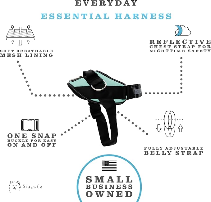 ShawnCo Essential Dog Harness, No-Pull Pet Vest with 3 Leash Clips, No Choke, Reflective, Adjustable and Padded, for Easy Walking and Training for Small, Medium and Large Dogs (Seafoam, L)