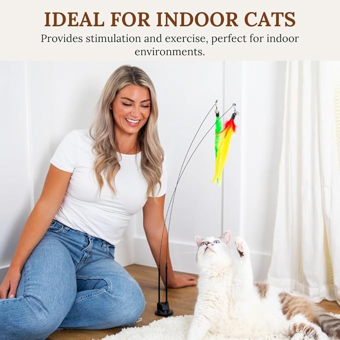Parent Listing cat Toy (D)