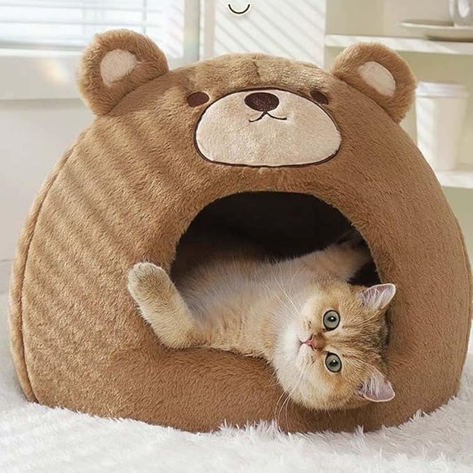 Cat Beds for Indoor Cats - Cute Cat Bed Cat Cave Bed ，Soft Calming Pet Bed with Removable Washable Cushioned Pillow，Cat Hideaway for Kitten&Puppy,Small Dog (Bear，M)