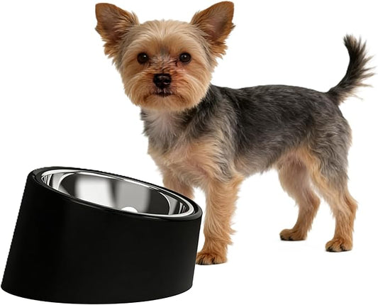 15° Tilted Slow Feeder- Non-Spill & Non-Slip Stainless Steel Dish for Small & Cats - Detachable 160ml Elevated Black (Size S)