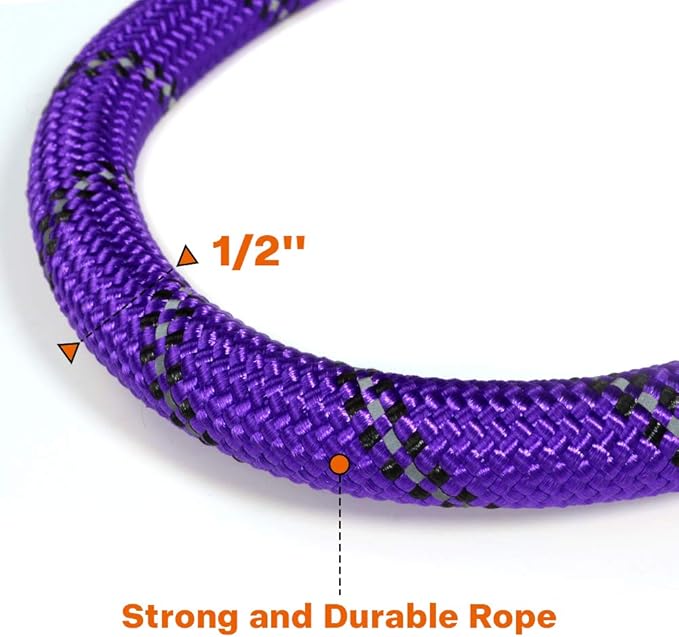 Taglory Rope Dog Leash 5 FT with Comfortable Padded Handle, Highly Reflective Threads Leash for Medium Large Dogs, 1/2 inch, Purple