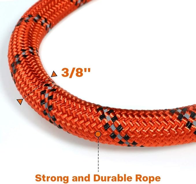 Taglory Rope Dog Leash 6 FT with Comfortable Padded Handle, Highly Reflective Threads Leash for Small Dogs, 3/8 inch, Orange