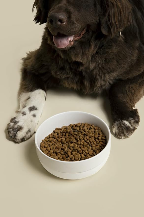 Waggo Ceramic Cling Dog Bowl with Rubber Bottom for Small and Large Breeds - Heavyweight Bowl with Anti-Skid Non Slip Rubber Bottom, Dishwasher Safe (Large, Light Grey)