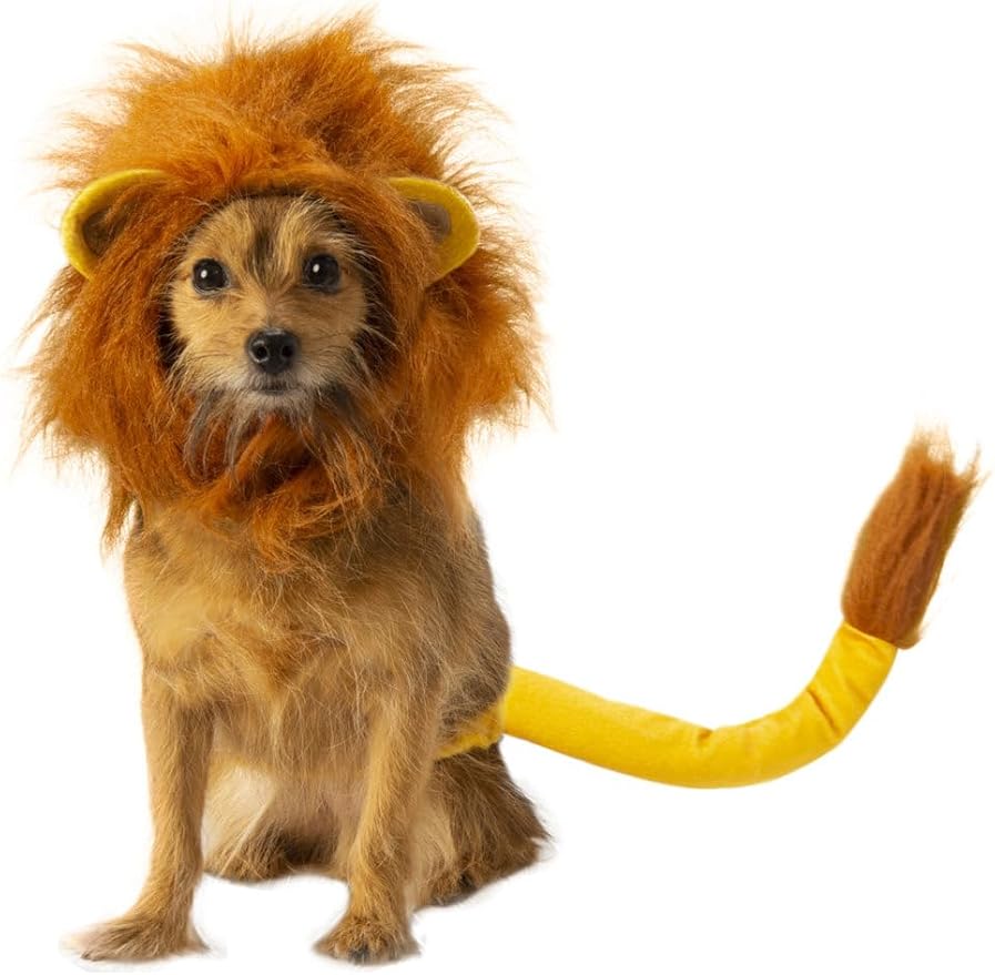Rubie's Disney Lion King Pet Costume Accessory Set, Simba, Small/Medium