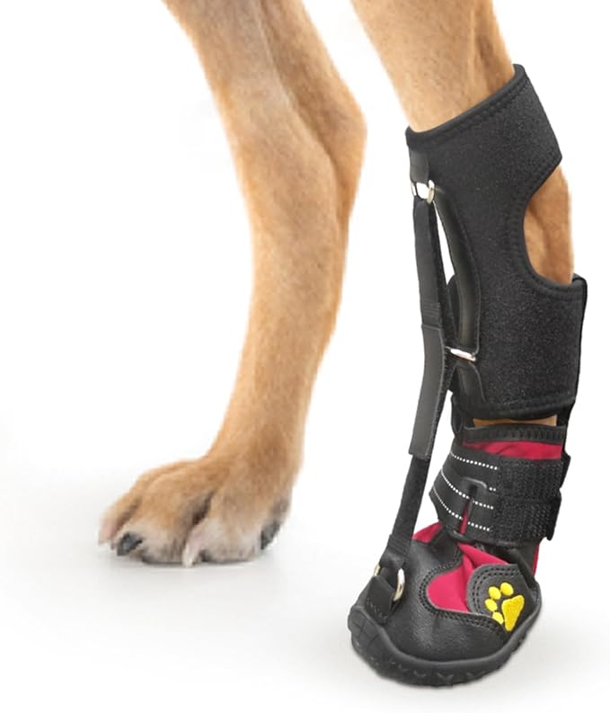 Strap-On Drop Foot Brace (No Knuckling Boot Brace) for Dogs— Corrective Dog Shoes to Safely Lift Toes for Foot Issues, Arthritis, and improving Walking gait in Dogs(L)