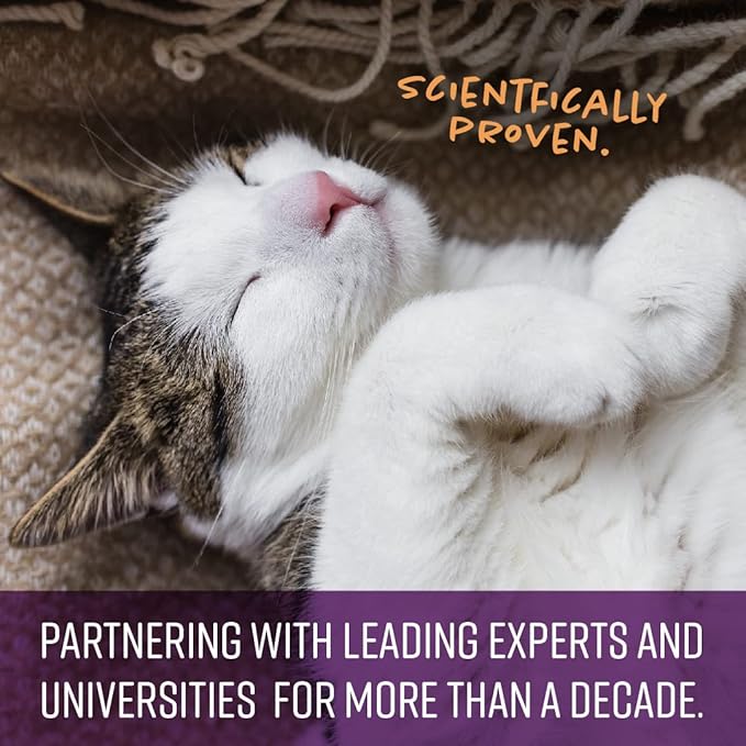 Sentry PET Care Sentry Calming Spray for Cats, Uses Pheromones to Reduce Stress, Easy Spray Application, Helps Cats with Separation, Travel, Loud Noises, and Anxiety, Packaging May Vary