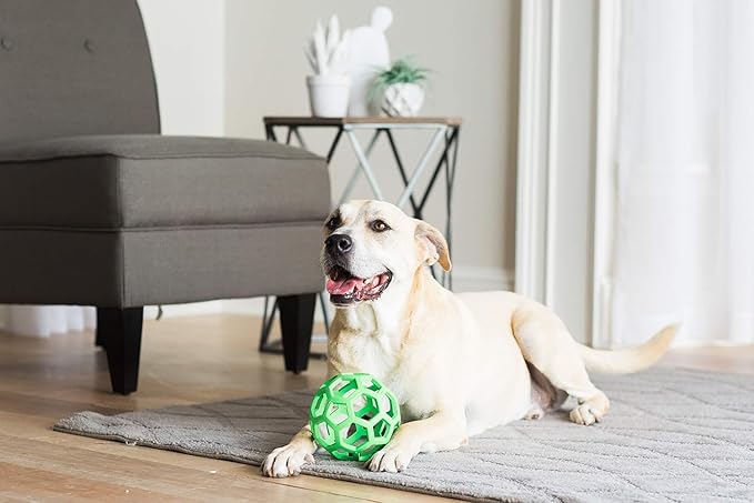 JW Pet HOLEE ROLLER BALL Dog Chew Treat Fetch Bouncy Toy LARGE 5.5 inch 3 PACK