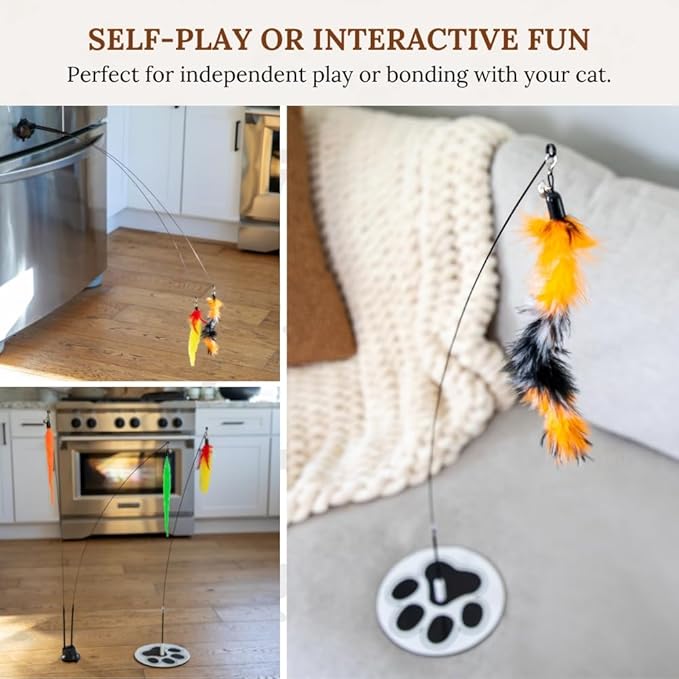Parent Listing cat Toy (D)