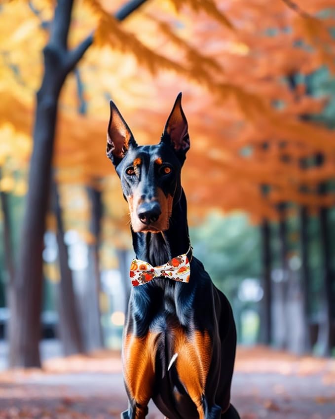 PET SHOW 10 Pack Thanksgiving Big Dog Bow Ties for Large Medium Dogs Sliding Collar Attachments Pumpkin Turkey Bowties Classy Fall Bowknots Party Holiday Pet Grooming Accessories(Large)