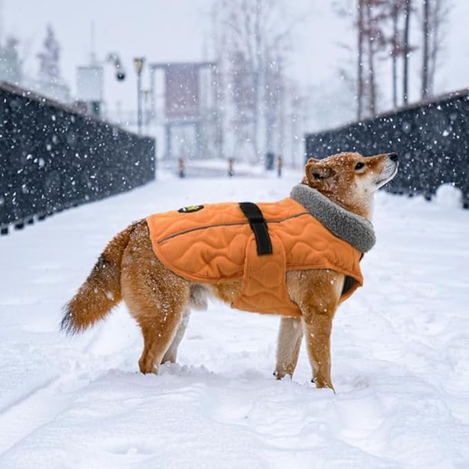 Dog Cold Weather Coats, Fleece Lining Small/Medium/Large Dog Jackets for Winter, Adjustable Pet Winter Clothes for X-Large Dogs, Water Resistant Pet Apparel with Buckle, Orange XL