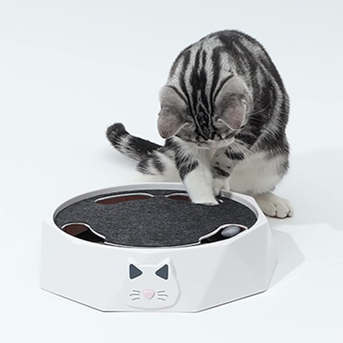 Interactive Cat Turntable Toy, Electric Cat Toys 2 Speed Adjustable Automatic Puzzle Catch Mouse Play Cat Toy for Pet Supplies