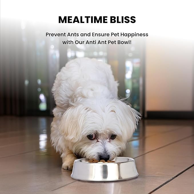 Iconic Pet Stainless Steel Non Skid Pet Bowl for Dog or Cat with Raised Rim Dishwasher Safe Pet Food and Water Bowl in Varying Sizes (8 Oz)