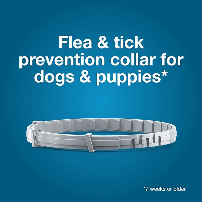 Seresto Flea & Tick Collar For Dogs Over 18 lbs., Treatment & Prevention, Vet-Recommend, 8 Month Protection