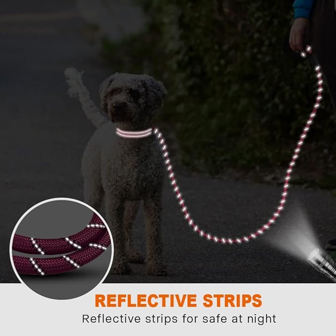 Taglory Rope Dog Leash 4 FT with Comfortable Padded Handle, Highly Reflective Threads Leash for Small Dogs, 3/8 inch, Hotpink