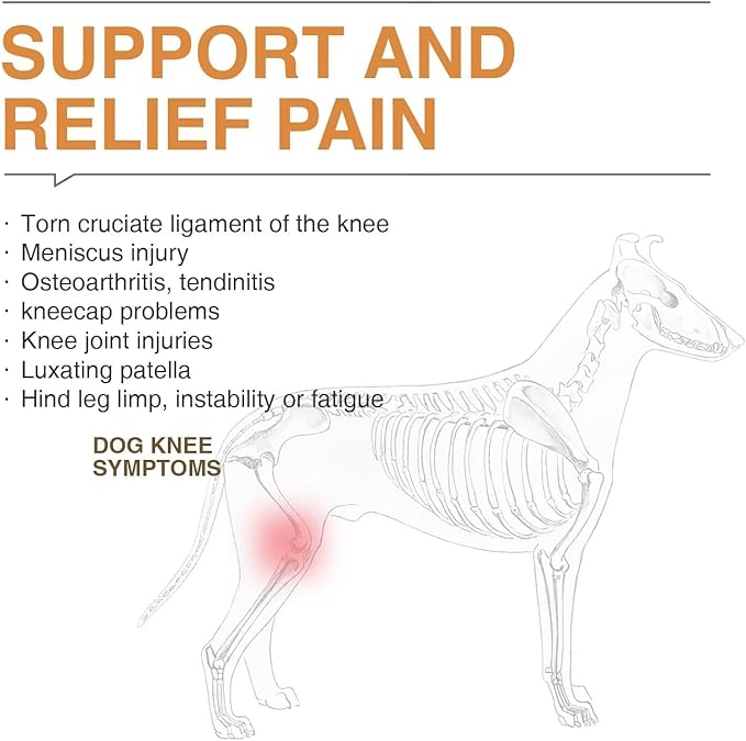 Dog Knee Brace for Torn ACL/CCL Hind Leg,Adjustable Support with Sufficient Wrapping and Support & Luxating Patella,Non-Slip Joint Brace,Pain Relief & Better Recovery-Left Leg/XL