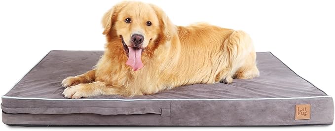Laifug Orthopedic Memory Foam Pet(54"x 36"x 4",Slate Grey)/Dog Bed with Durable Waterproof Liner and Removable Washable Cover