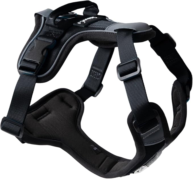 ShawnCo Basecamp Dog Harness, No-Pull Pet Vest with 3 Leash Clips, Padded, Reflective, Lightweight and Adjustable Harness with Handle for Small, Medium and Large Dogs (Midnight, M)
